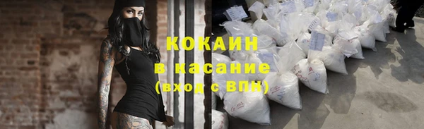 стафф Аркадак