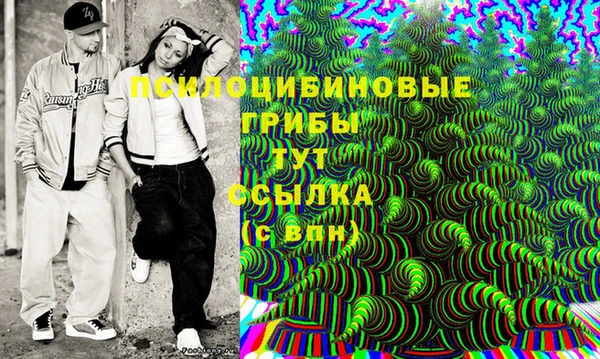 стафф Аркадак